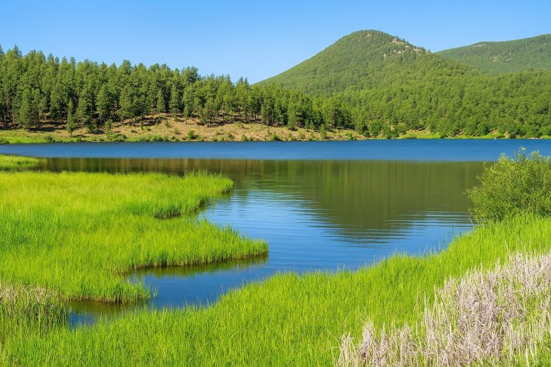 Best Bathtub Installation pros in Evergreen, CO